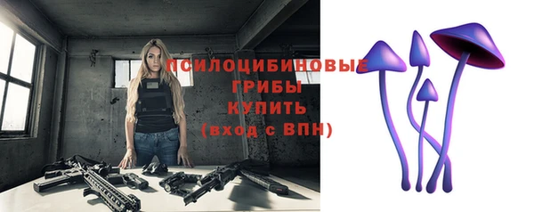 шишки Карпинск