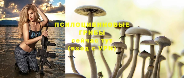 прущая мука Кинешма