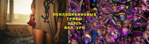 шишки Карпинск